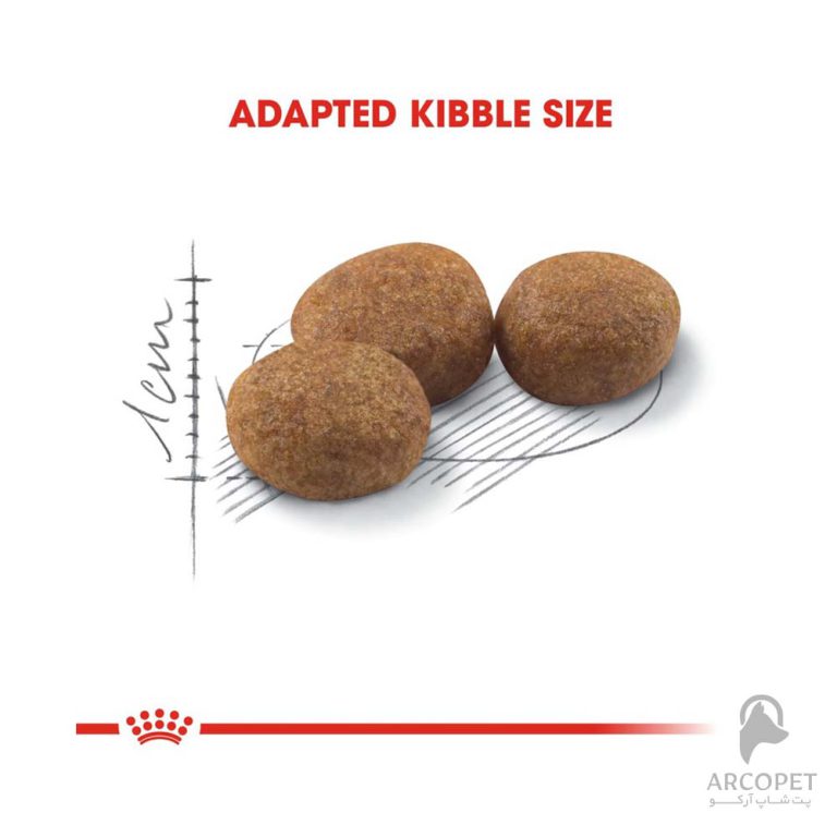 غذای خشک گربه عقیم شده رویال کنین مدل Sterilized