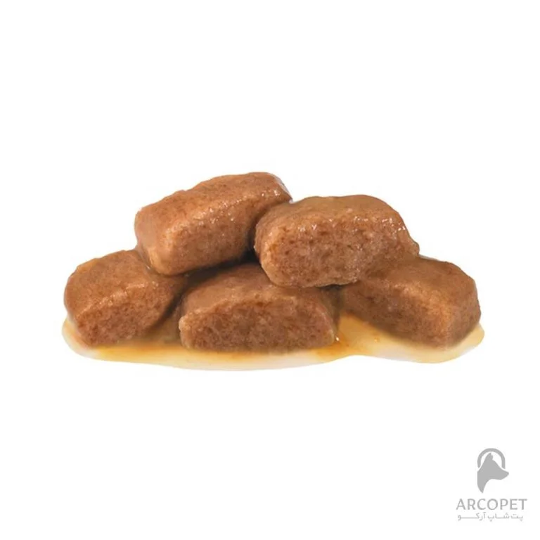 پوچ گربه رویال کنین مدل رفع مشکلات گوارشی Gastrointestinal