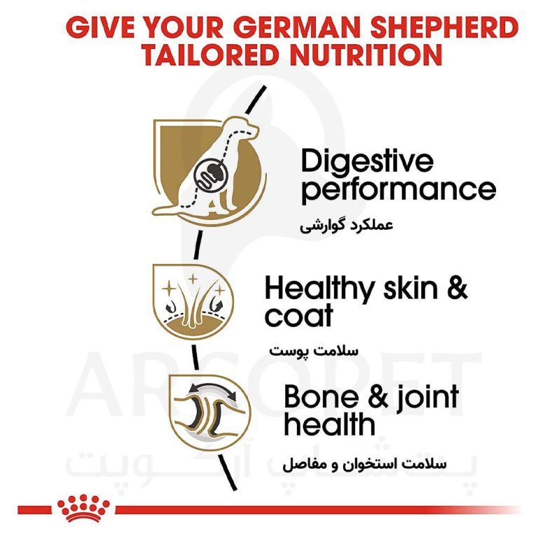 غذای خشک سگ بالغ رویال کنین مدل نژاد ژرمن شپرد German Shepherd