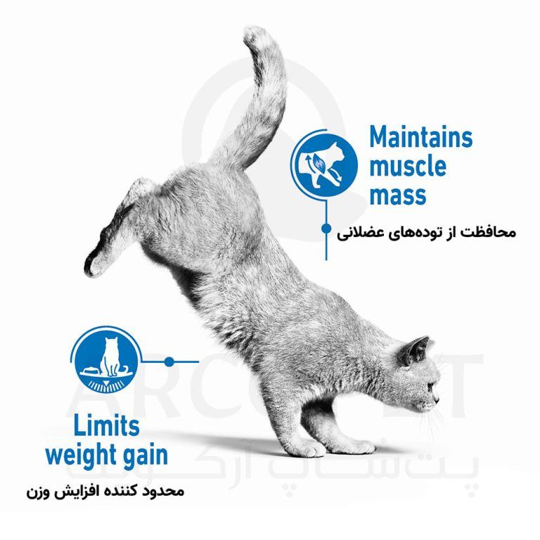 غذای خشک گربه رویال کنین مدل رژیمی Light Weight