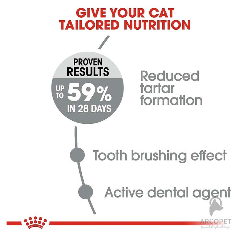 غذای خشک گربه رویال کنین مدل سلامت دهان و دندان Oral