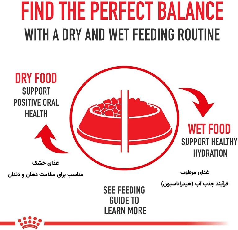 غذای خشک گربه رنال رویال کنین مدل رفع مشکلات کلیوی Renal