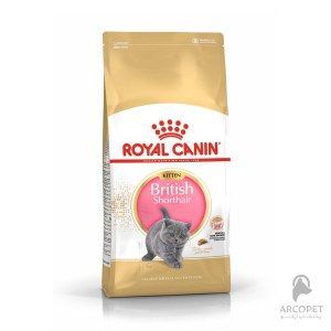 غذای بچه گربه بریتیش رویال کنین British Shorthair