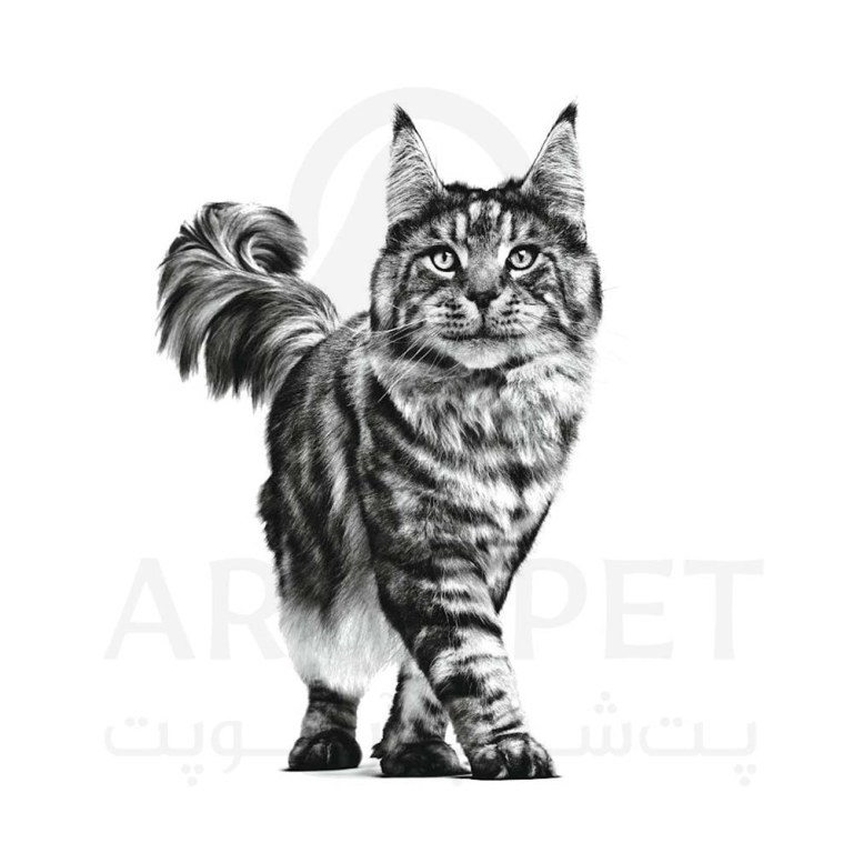 غذای خشک گربه حساس رویال کنین مدل هایپوآلرژنیک Hypoallergenic
