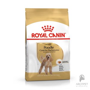 غذای خشک سگ پودل بالغ رویال کنین نژاد Poodle