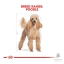 غذای خشک سگ پودل بالغ رویال کنین نژاد Poodle