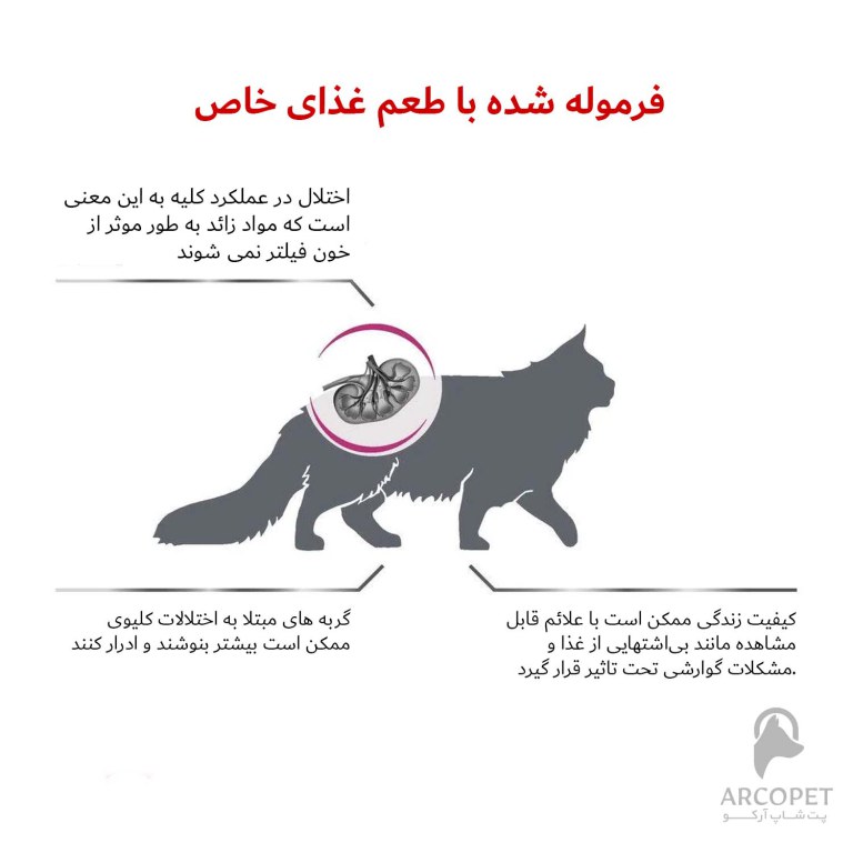 علائیم بیماری رنال گربه