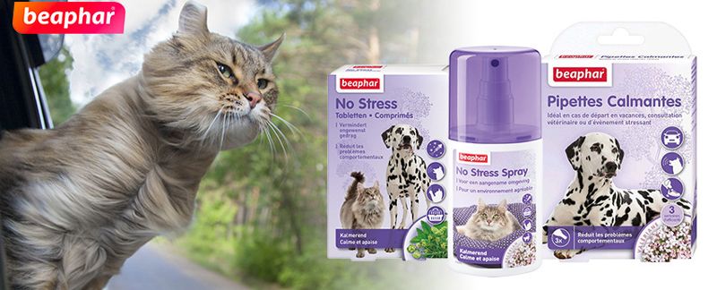 ضد استرس سگ و گربه