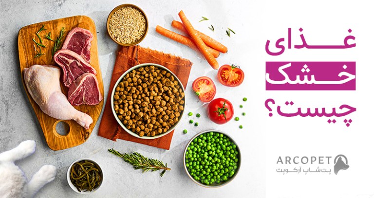 غذای خشک چیست