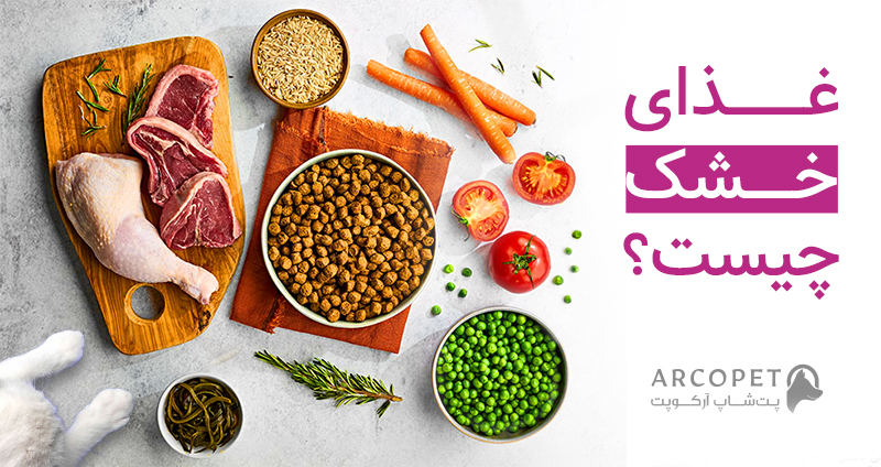 غذای خشک چیست