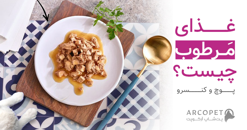 غذای تر سگ و گربه چیست و چگونه تولید میشود؟