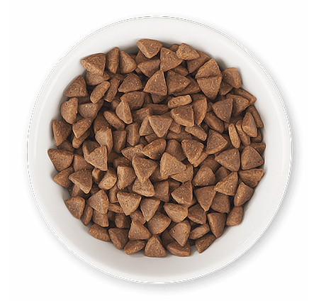 Dry Food