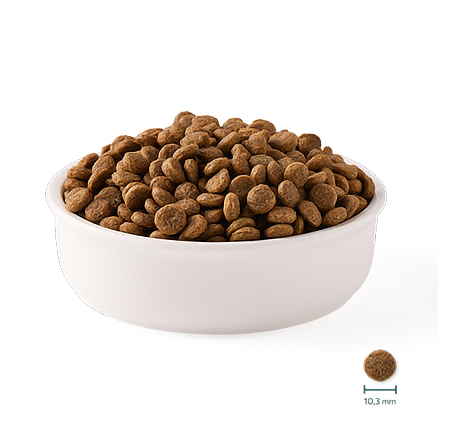 تفاوت پرمیوم و سوپر پرمیوم