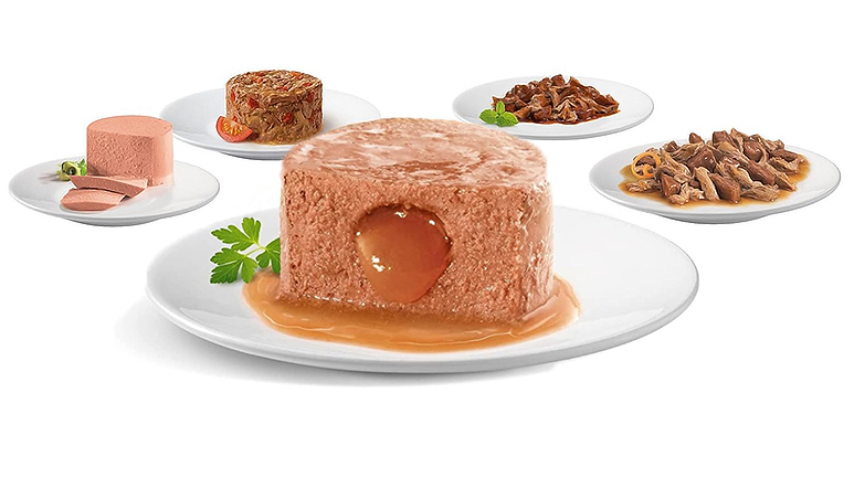 کنسرو گربه گورمت 