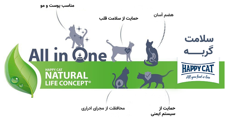 هپی کت گربه