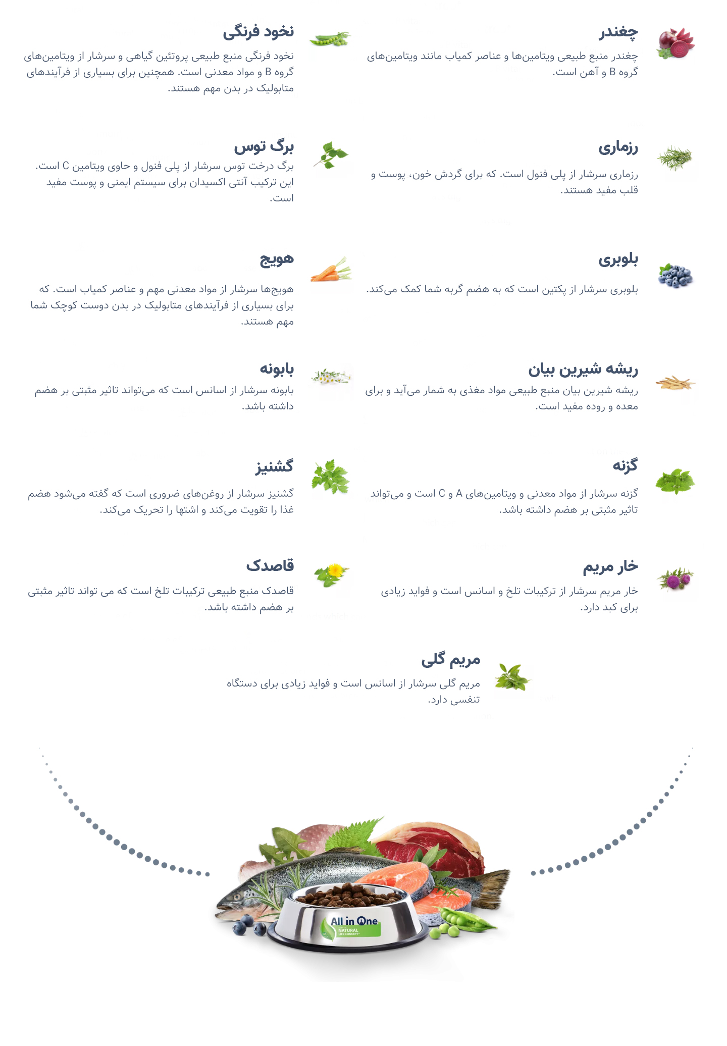کیفیت غذا هپی کت
