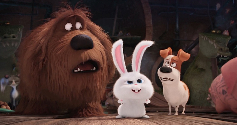 زندگی پنهان حیوانات خانگی _ The Secret Life of Pets