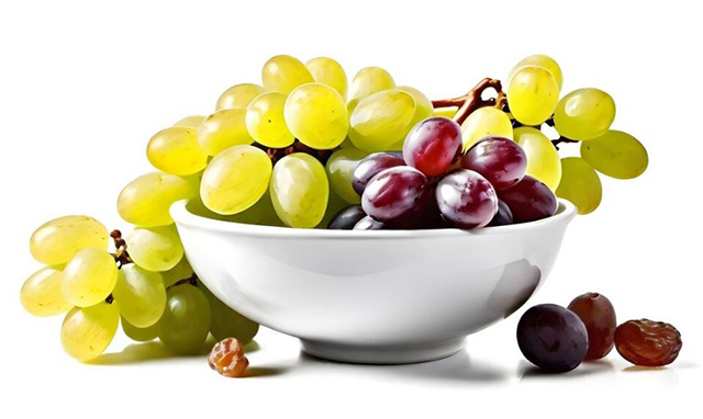 غذاهای مضر برای گربه
