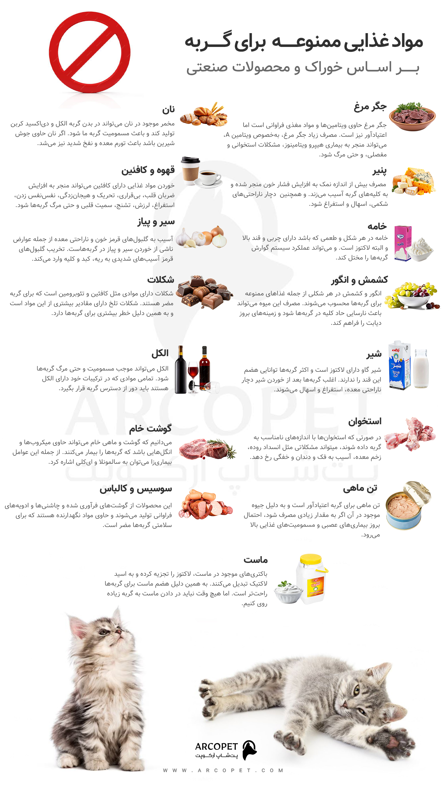 غذاهای ممنوعه برای گربه