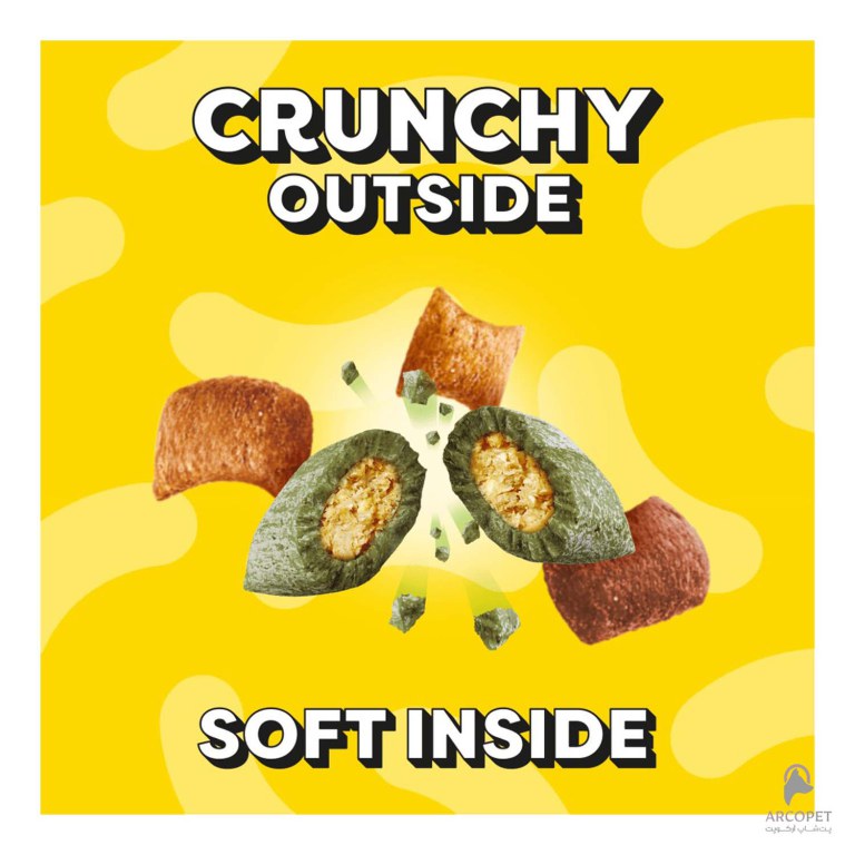 تشویقی مغزدار دریمیز