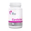 مکمل قلب سگ و گربه وت اکسپرت VetExpert CardioVet