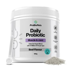 پودر پروبیوتیک سگ و گربه داگز لایف Probiotic Muscle & Joint وزن 100 گرم