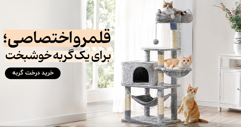 راهنمای خرید درخت گربه