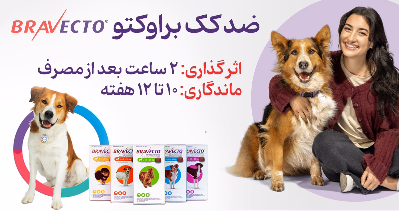 راهنمای خرید براوکتو Bravecto