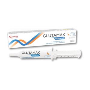 خمیر گلوتامکس سگ کاندیولی Glutamax Advanced وزن 30 میلی لیتر