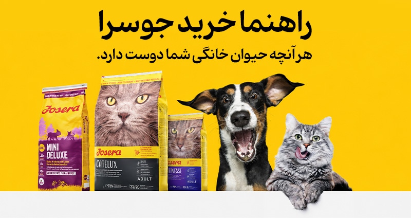 راهنمای خرید جوسرا